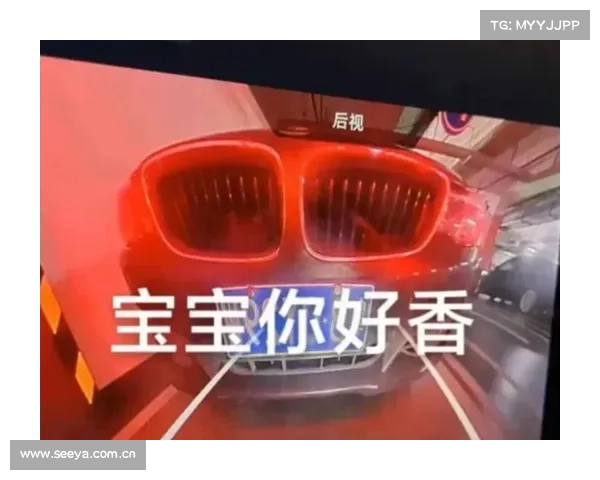 “长得越丑、车主越兴奋”,最近年轻人都在比拼谁的车更像邪恶蛤蟆